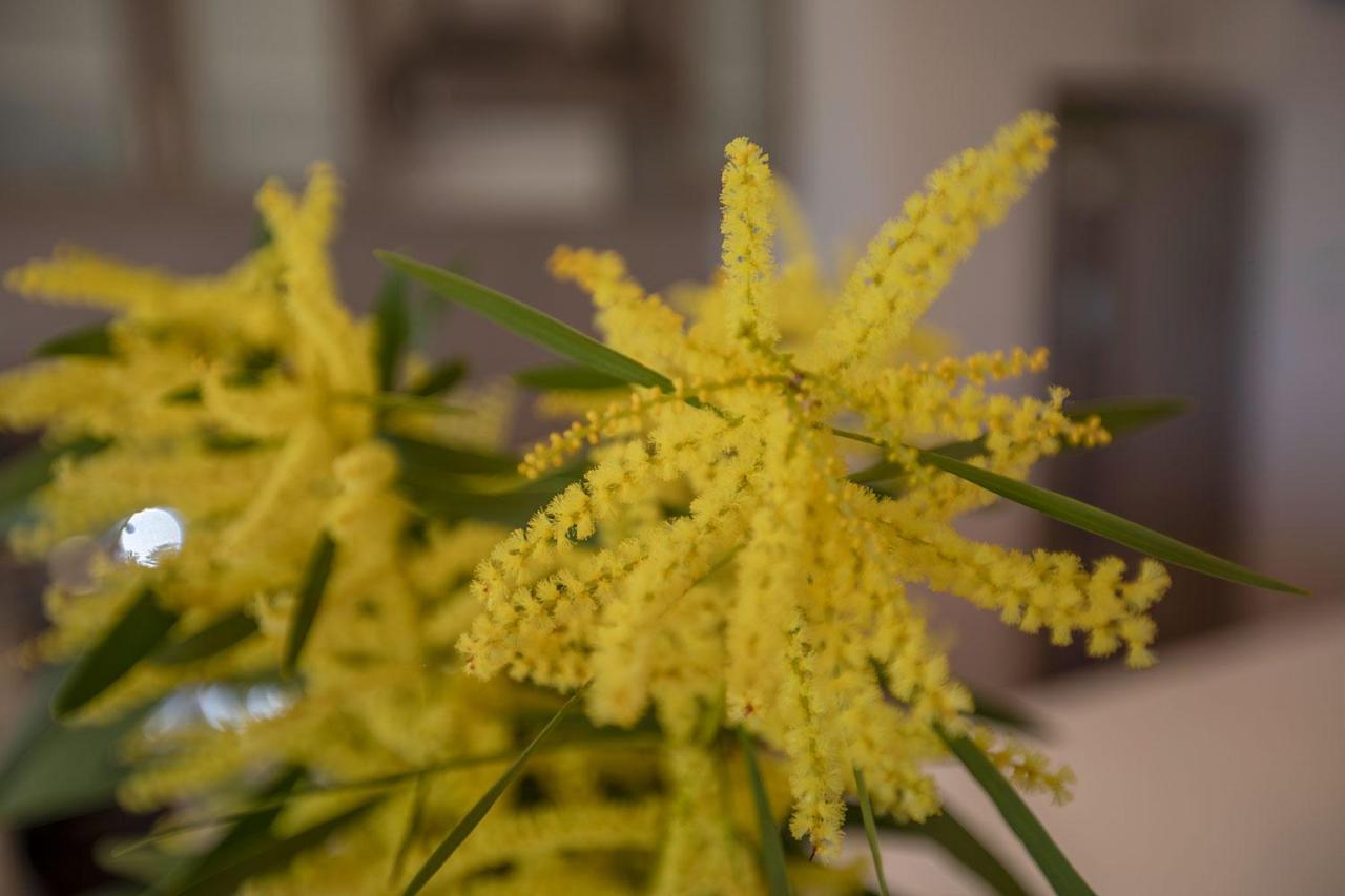 Quarterdeck Apartment Binalong Bay エクステリア 写真